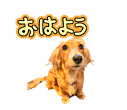 841070256