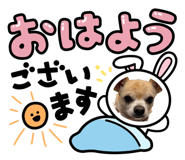 841070579