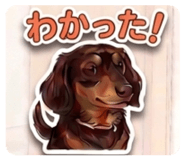 841071818