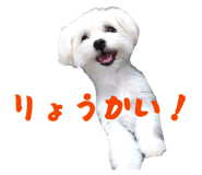 841071921