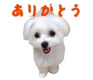 841071922
