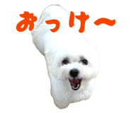 841071924