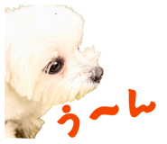 841071928