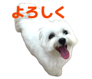 841071945