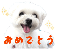 841071959