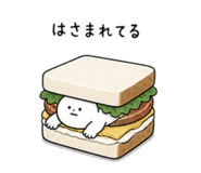 841074628