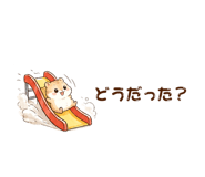 841077882