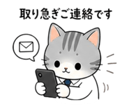 841078734