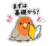 841078989