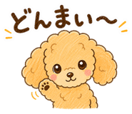 841079517