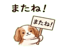 841079793