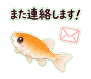 841080156