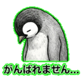 841080304