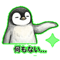 841080306