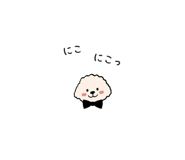 841080401
