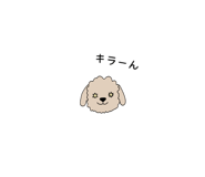 841080407
