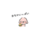 841080428