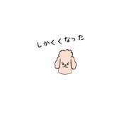 841080430