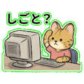 841080558