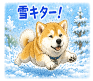 841080633