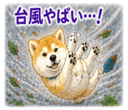 841080634