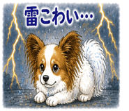 841080648