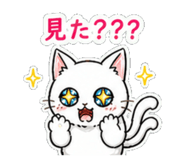 841081446