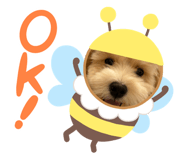 841082087