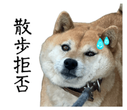 841082441