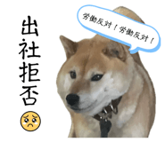 841082442