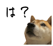 841082446