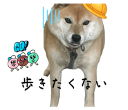 841082447