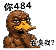 841082556