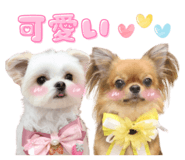 841082836