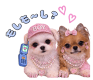 841082855