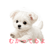 841083048