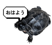841083169