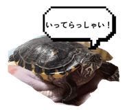 841083173