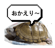841083174