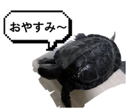841083176