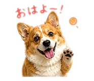 841083673
