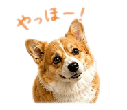 841083688