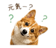 841083692
