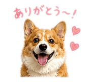 841083700