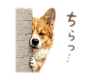 841083708