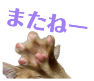 841083722