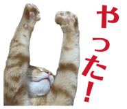 841083734