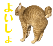 841083736