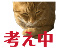 841083740