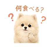 841084223